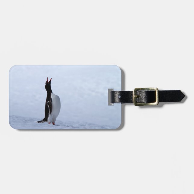 Gentoo penguin gepäckanhänger (Vorderseite horizontal)