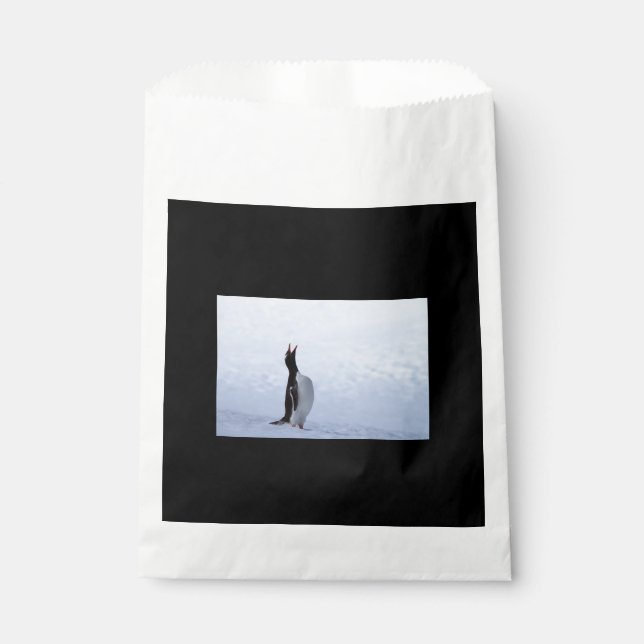 Gentoo penguin geschenktütchen (Vorderseite)