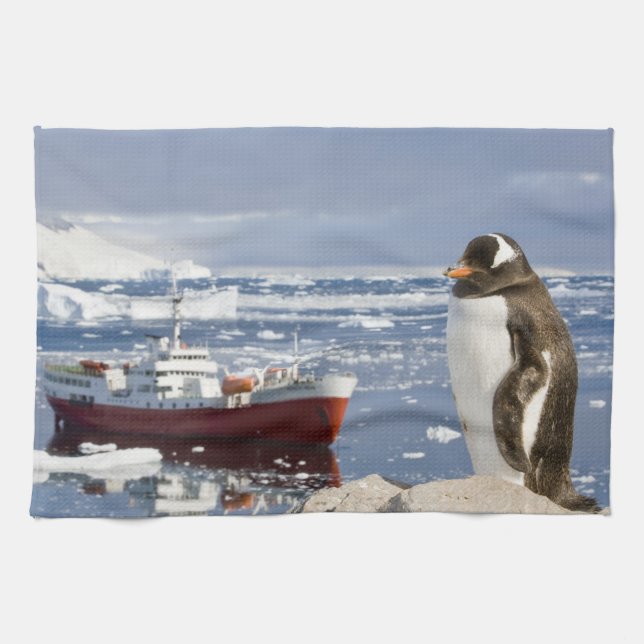 Gentoo Penguin Geschirrtuch (Horizontal)