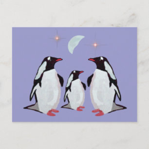Gentoo Penguin Grußkarten Postkarten