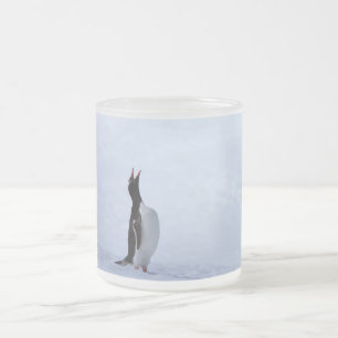 Gentoo penguin mattglastasse