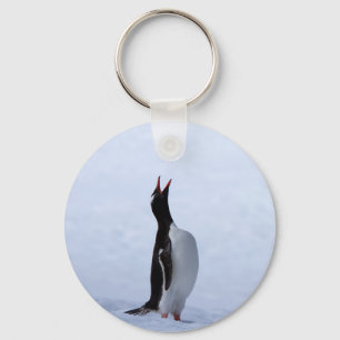 Gentoo penguin schlüsselanhänger