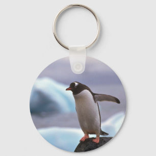 Gentoo Penguin Schlüsselanhänger