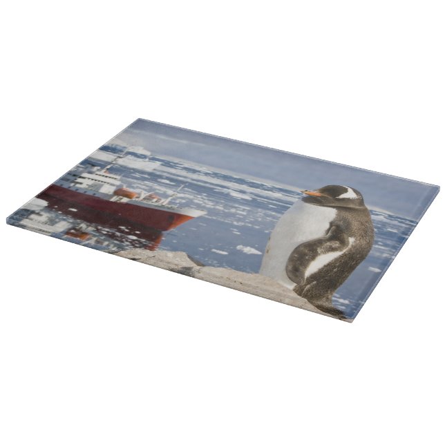 Gentoo Penguin Schneidebrett (Ecke)