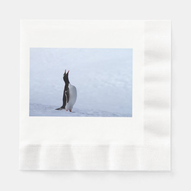 Gentoo penguin serviette (Vorderseite)