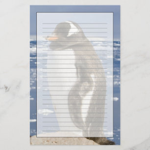 Gentoo-Pinguin Briefpapier