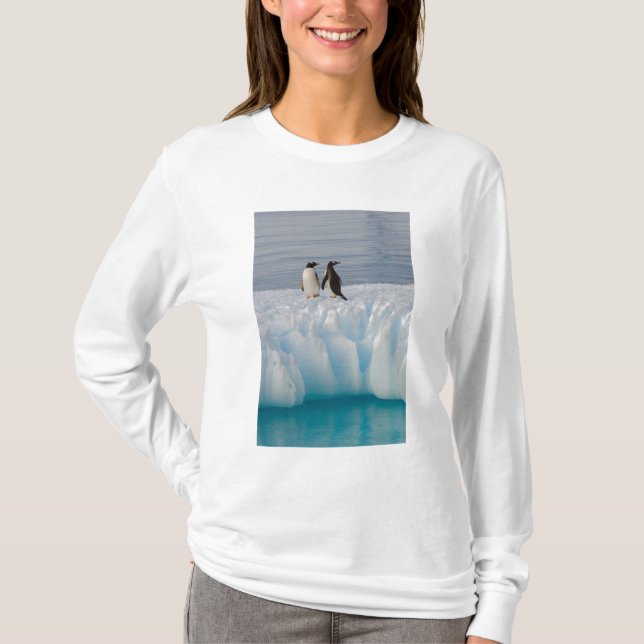 Gentoo Pinguin, Pygoscelis Papua, auf Gletschereis T-Shirt (Vorderseite)
