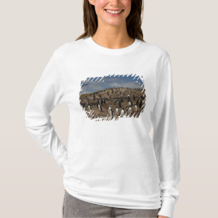 Gentoo-Pinguin (Pygoscelis papua)-Kolonie im Weste T-Shirt