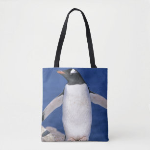 Gentoo Pinguin Pygoscelis papua) Port Tasche