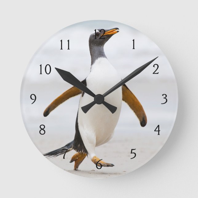 Gentoo Pinguin Runde Wanduhr (Vorderseite)