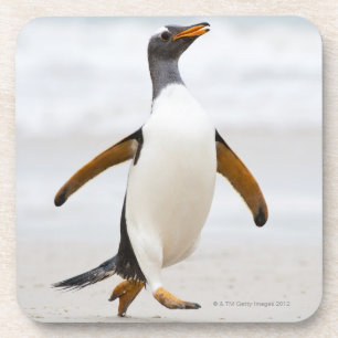 Gentoo Pinguin Untersetzer