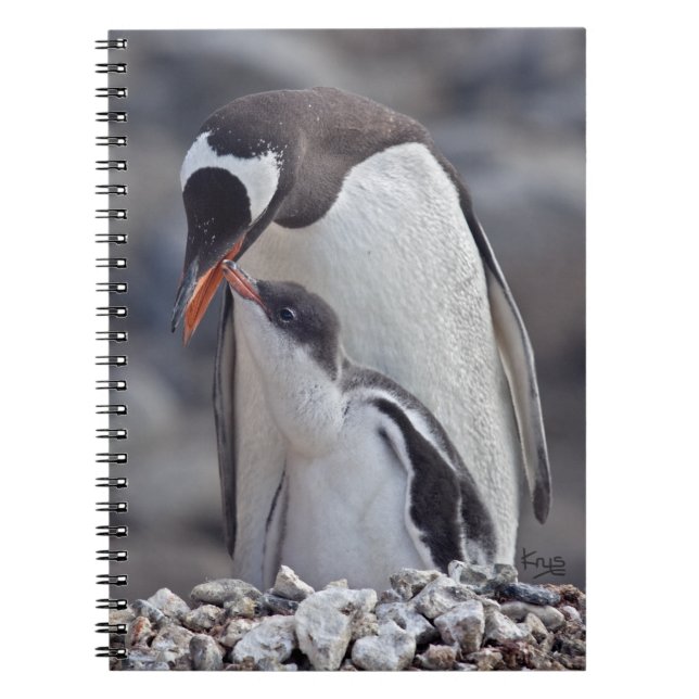 Gentoo und Chick Notebook Notizblock (Vorderseite)