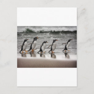 Gentoos on the beach postkarte