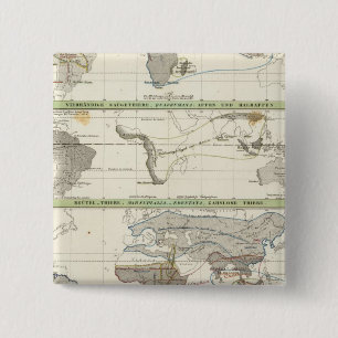 Geografische Verteilung Button