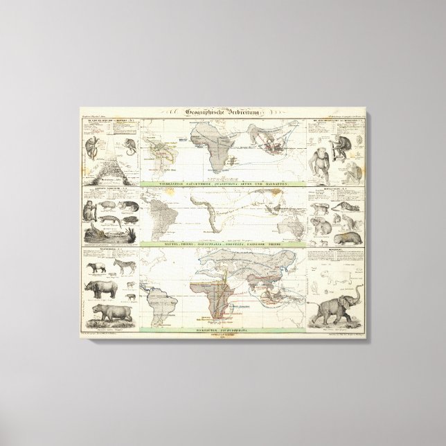 Geografische Verteilung Leinwanddruck (Vorderseite)