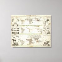 Geografische Verteilung