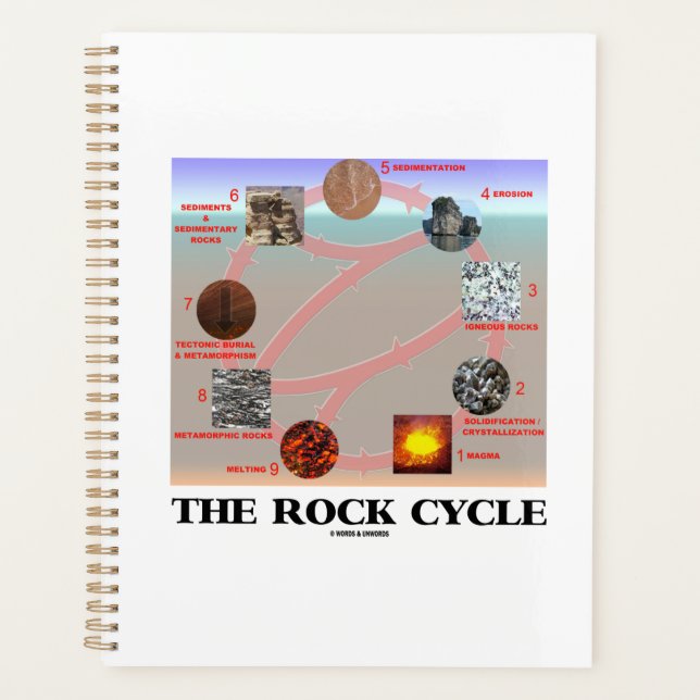 Géologie du cycle du roc Science de la Terre (Devant)