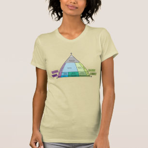 Geologie QAP Diagramm - Plutonic Rock ID T-Shirt