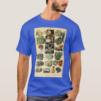Geologie Vintager Mineralien