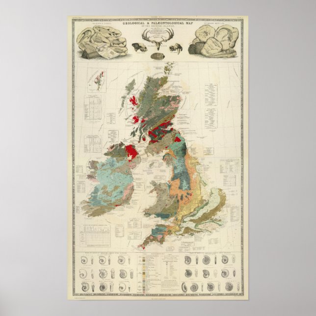 Geologische Karte, paläontologisch Poster (Vorne)