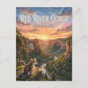 Geologisches Gebiet Red River Gorge USA Postkarte