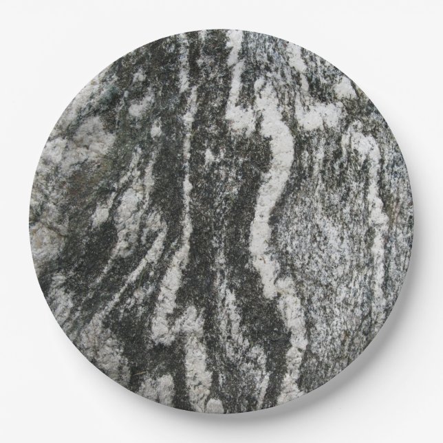 Geology Gray Rock Decorative Feline Pattern Melami Pappteller (Vorderseite)