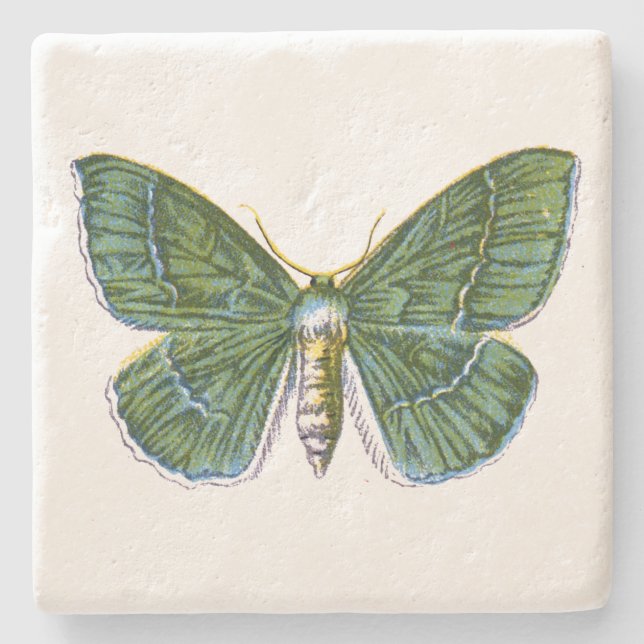Geometra papilionaria - The Large Emerald Moth Steinuntersetzer (Vorderseite)
