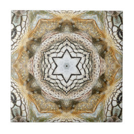 Geometrische Keramik der Goldene Star Fliese