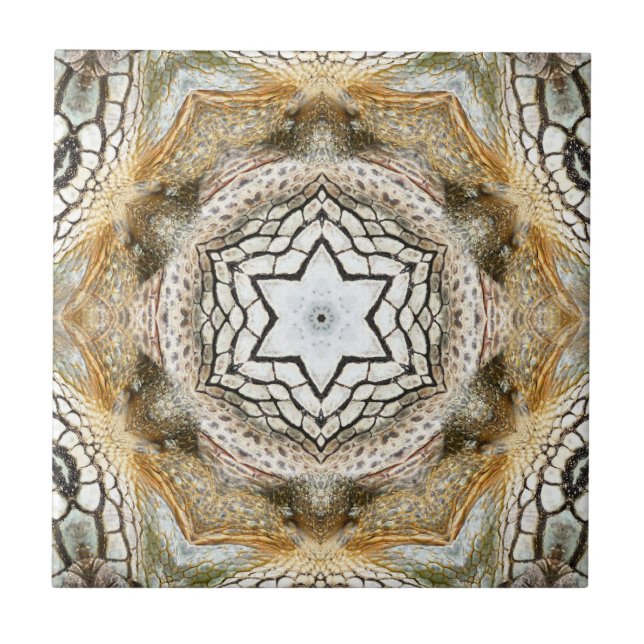 Geometrische Keramik der Goldene Star Fliese (Vorderseite)