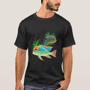Geophagus Eartheater Cichlid Fisch Tank Aquarium K