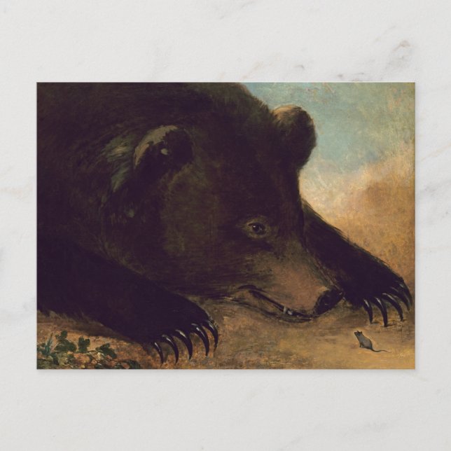 George Catlin - Grizzly Bear and Mouse Postcard Postkarte (Vorderseite)
