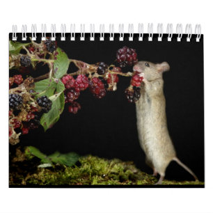 George die Maus mit schwarzem Hintergrund Kalender