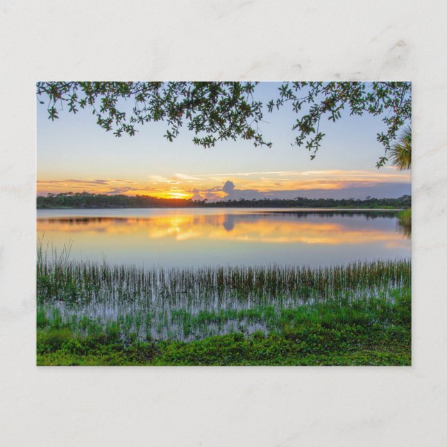 George Lestrange Preserve, Fort Pierce, Florida Postkarte (Vorderseite)