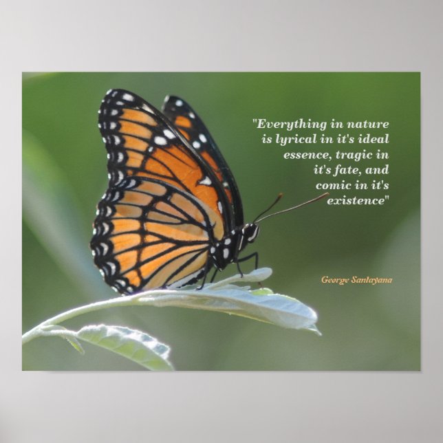 George Santayana Zitat zur Natur Poster (Vorne)