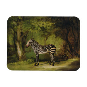 George Stubbs A Zebra, 1763 (Öl auf Leinwand) Magnet