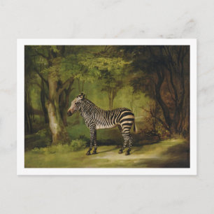 George Stubbs A Zebra, 1763 (Öl auf Leinwand) Postkarte