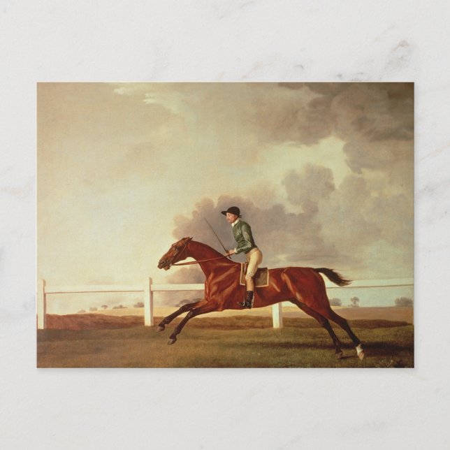 George Stubbs | Bay Malton mit John Singleton Up, Postkarte (Vorderseite)