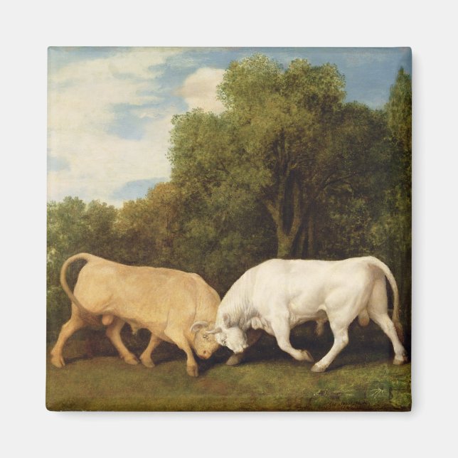 George Stubbs | Bulls Fighting, 1786 (Öl auf Tafel Magnet (Vorne)