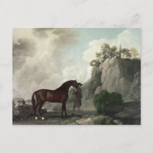 George Stubbs   Cato' and Groom Postkarte