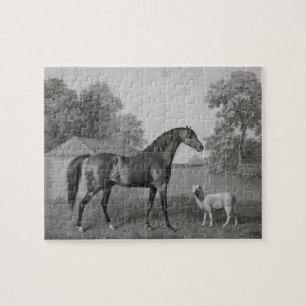 George Stubbs   Dungannon, graviert durch George