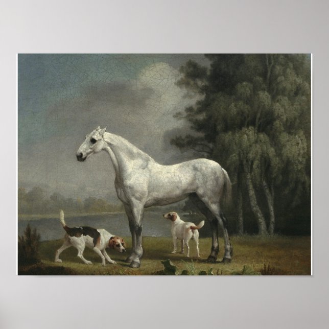 George Stubbs - Ein Apfelgrau-Jäger Poster (Vorne)