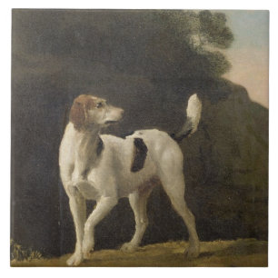 George Stubbs ein Foxhound, c.1760 (Öl auf Fliese