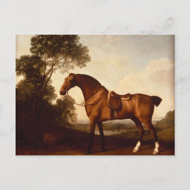George Stubbs - Ein Saddled Bay Hunter Postkarte (Vorderseite)