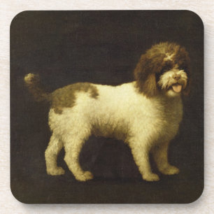 George Stubbs   ein WasserSpaniel, 1769 (Öl auf Untersetzer