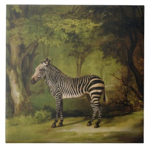 George Stubbs ein Zebra, 1763 (Öl auf Leinwand) Fliese
