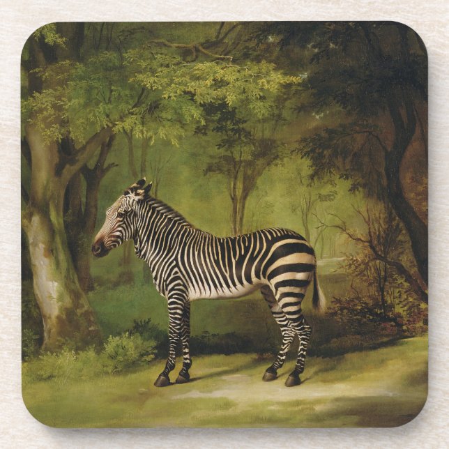 George Stubbs | ein Zebra, 1763 (Öl auf Leinwand) Untersetzer (Vorderseite)
