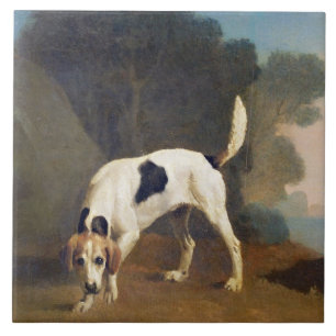 George Stubbs Foxhound auf dem Geruch, c.1760 Fliese