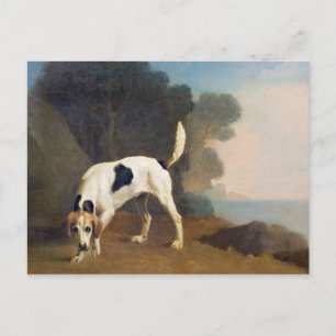 George Stubbs Foxhound on the Scent, c.1760 (Öl) Postkarte