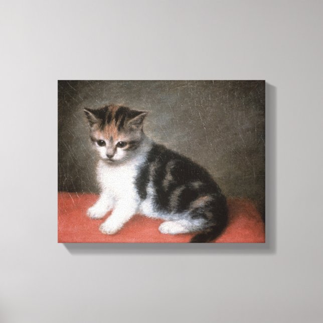 George Stubbs | Frau Ann White's Kitten, 1790 Leinwanddruck (Vorderseite)
