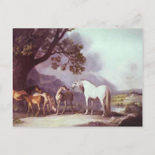 George Stubbs - Mares and Foals in einer Landschaf Postkarte